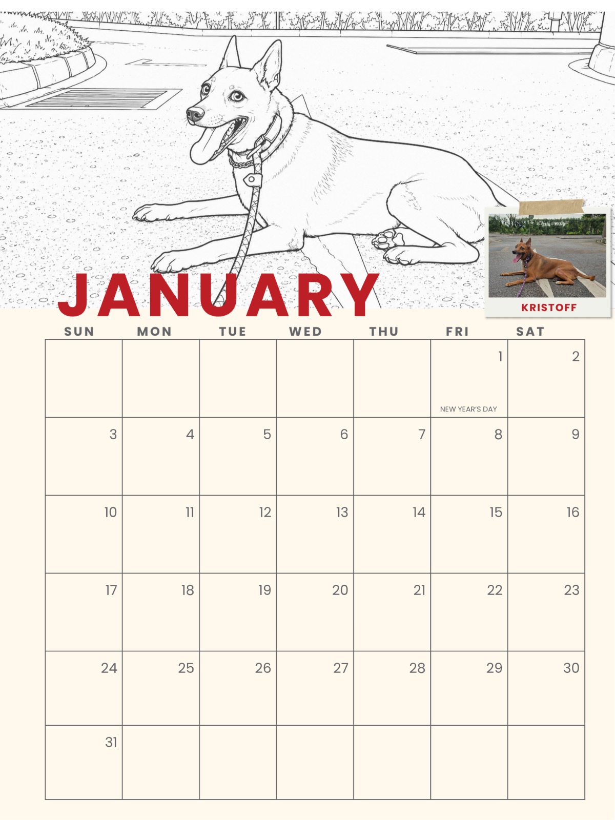 SOSD Calendar 2027 - Image 2